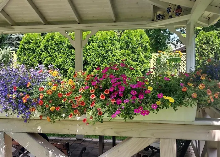 Hidden Gem Garden