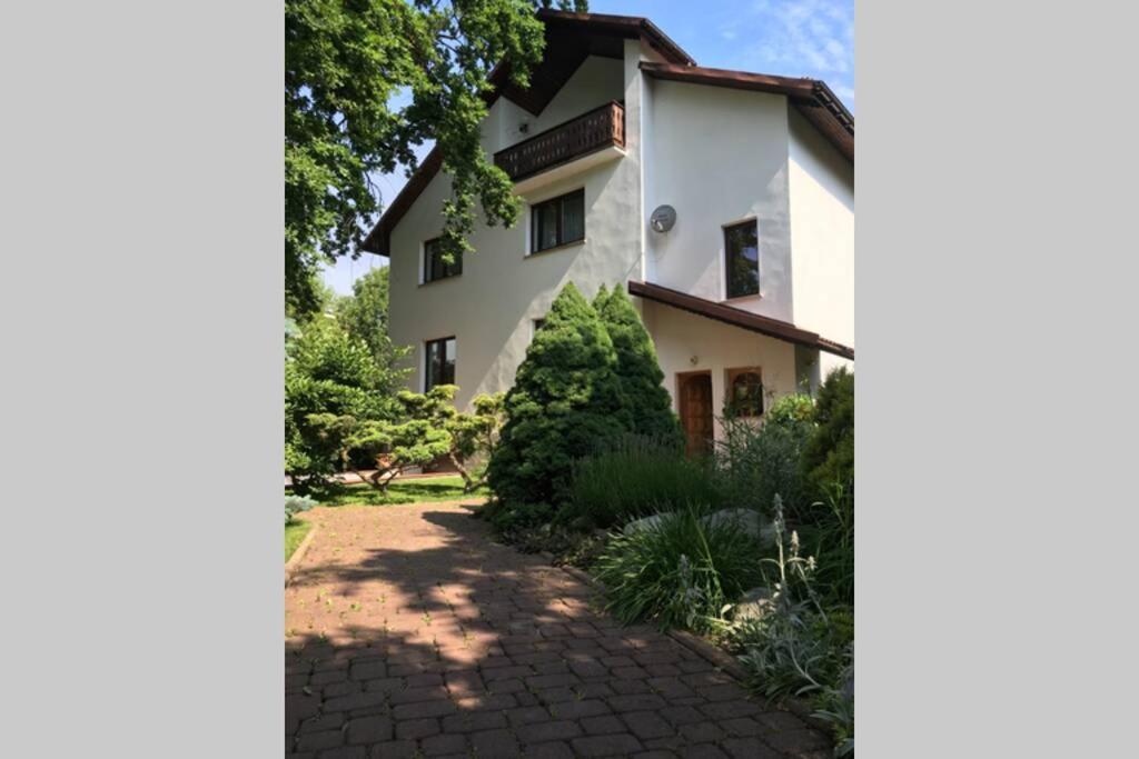 Hidden Gem Garden * Krakow