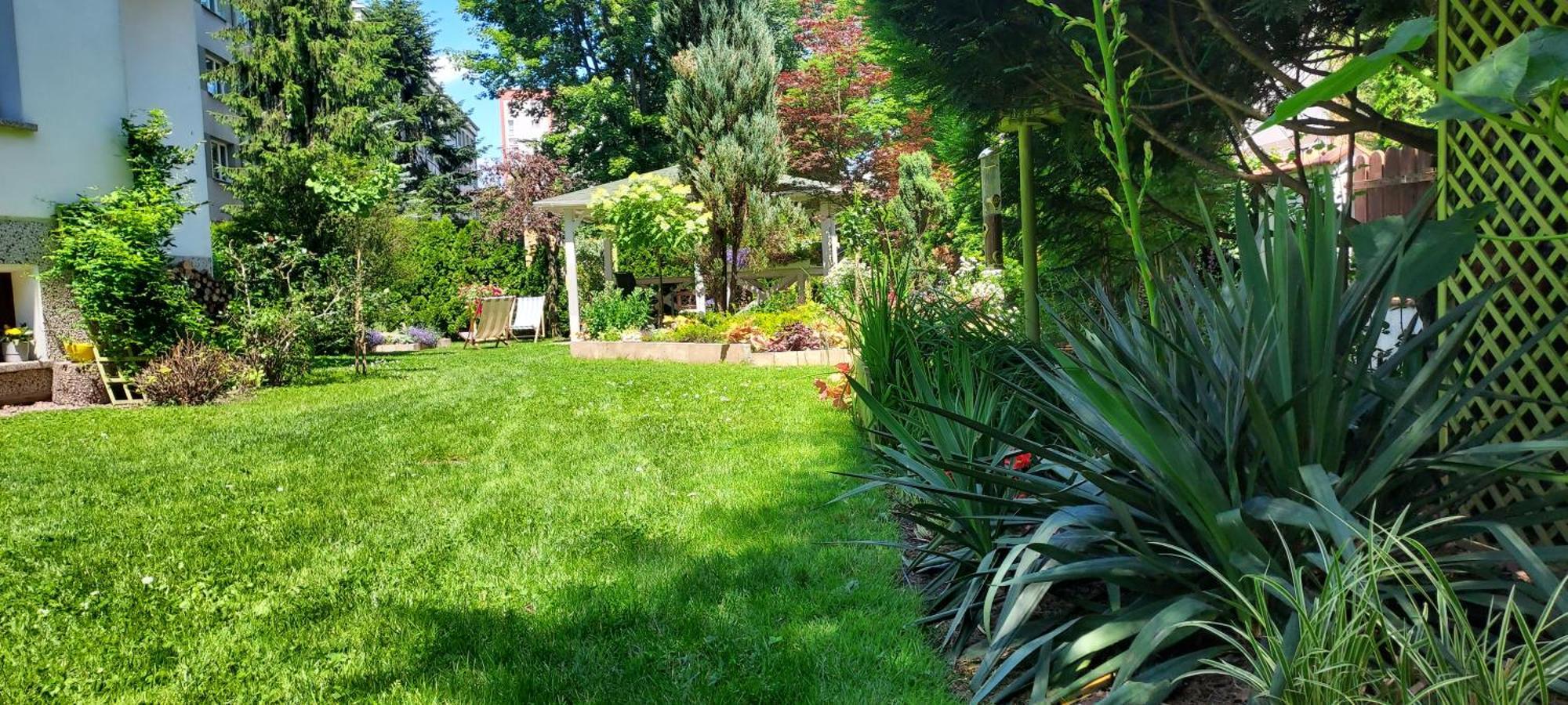 Apartment Hidden Gem Garden *